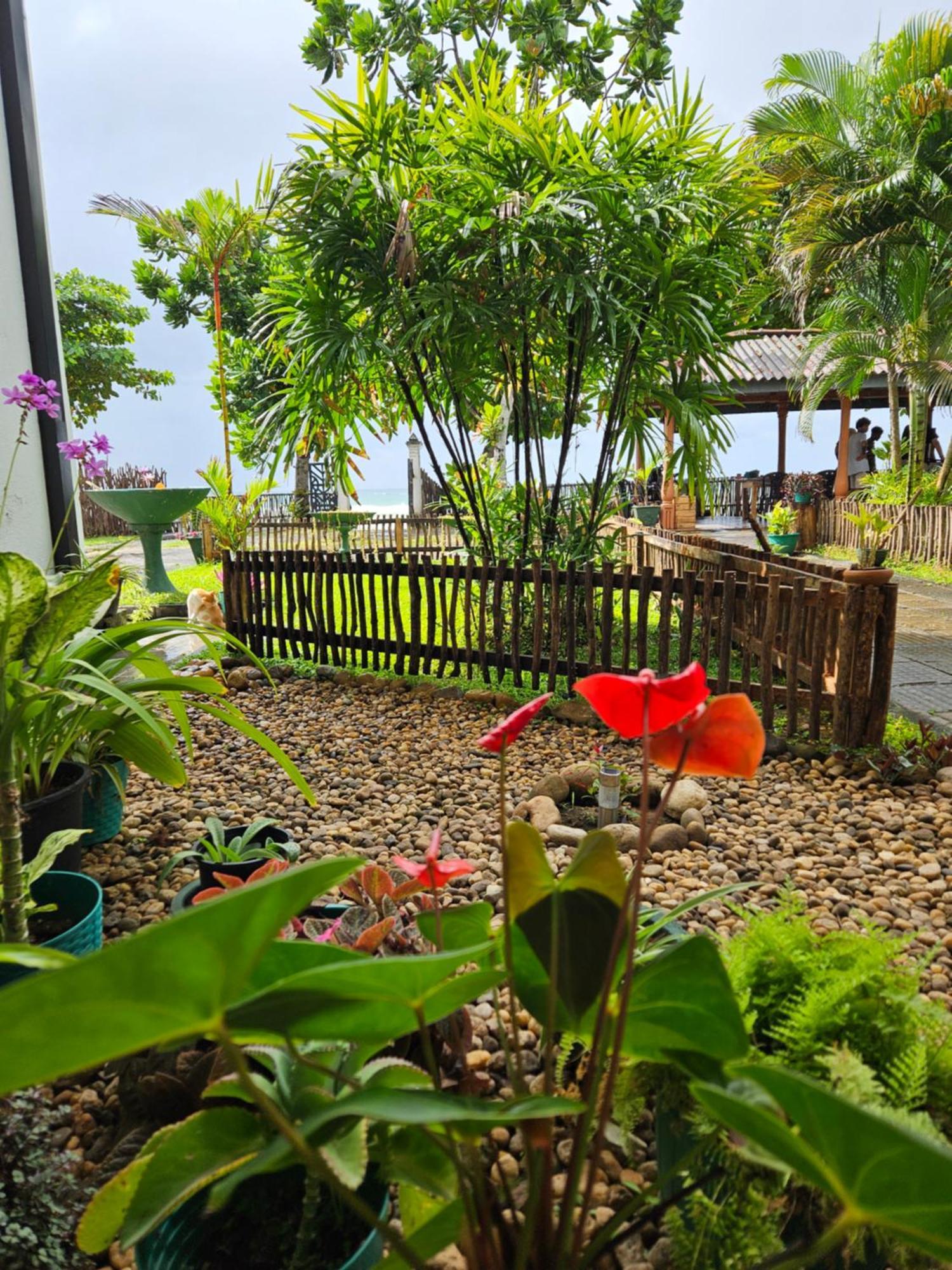 Balance Beach Resort 디크웰라 외부 사진